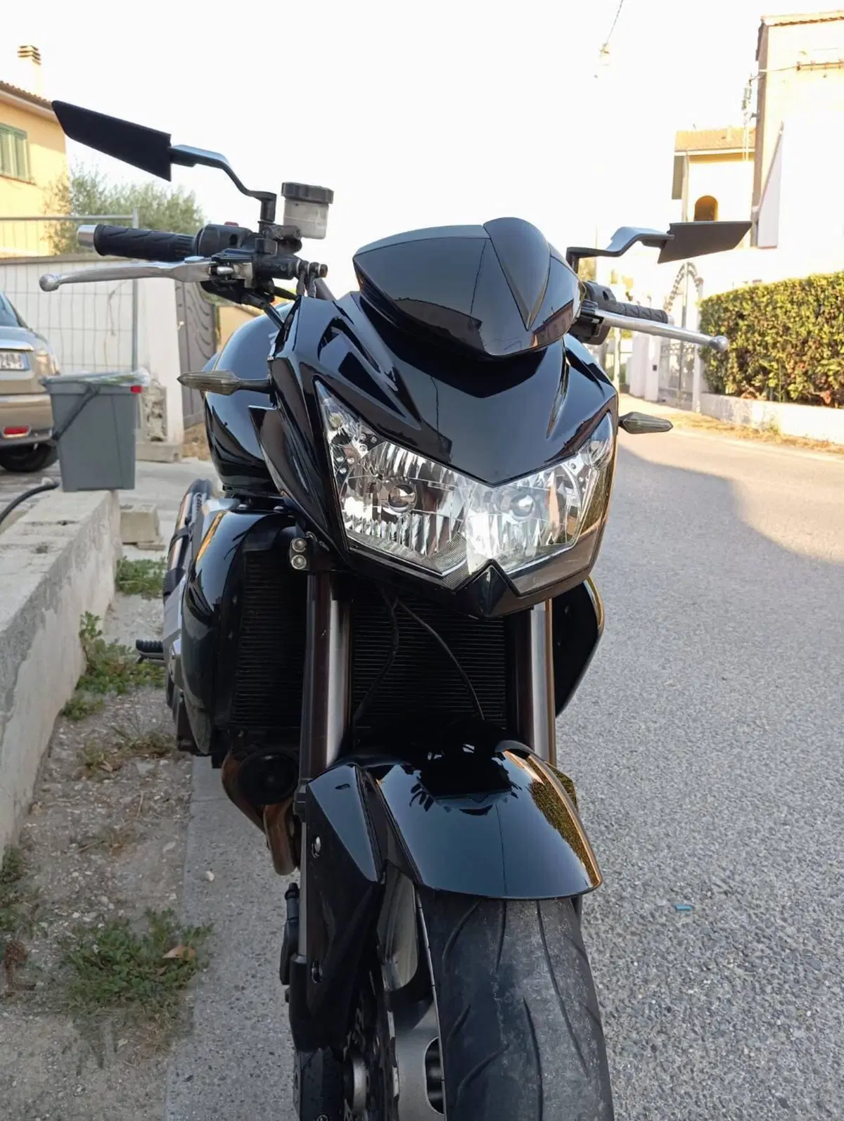 Kawasaki Z 750 (2007 - 14) (5)