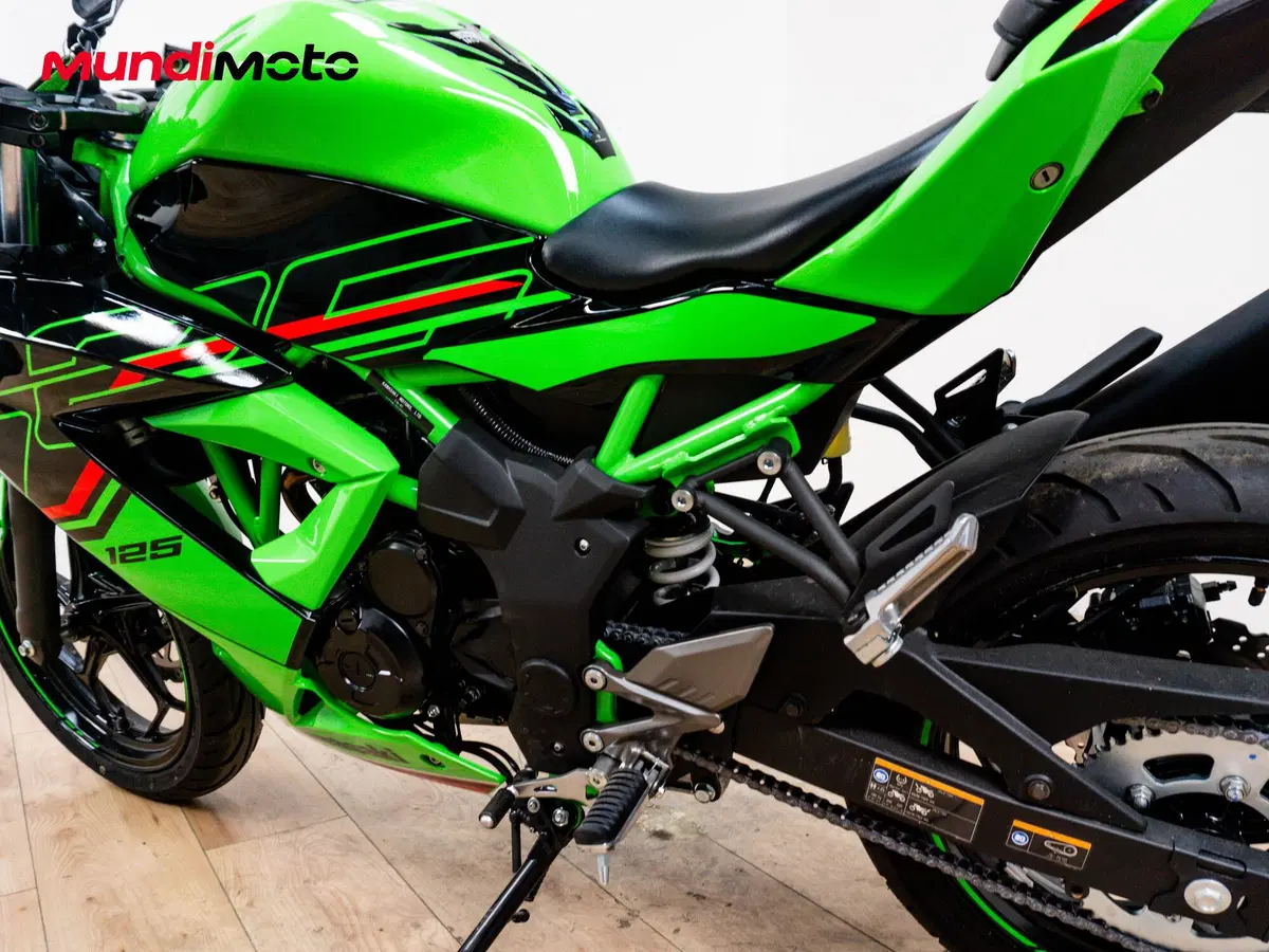 Kawasaki Ninja 125 (2025 - 26) (10)