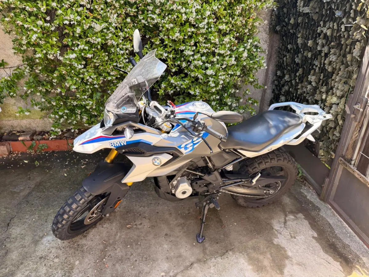Bmw G 310 GS (2021 - 25)