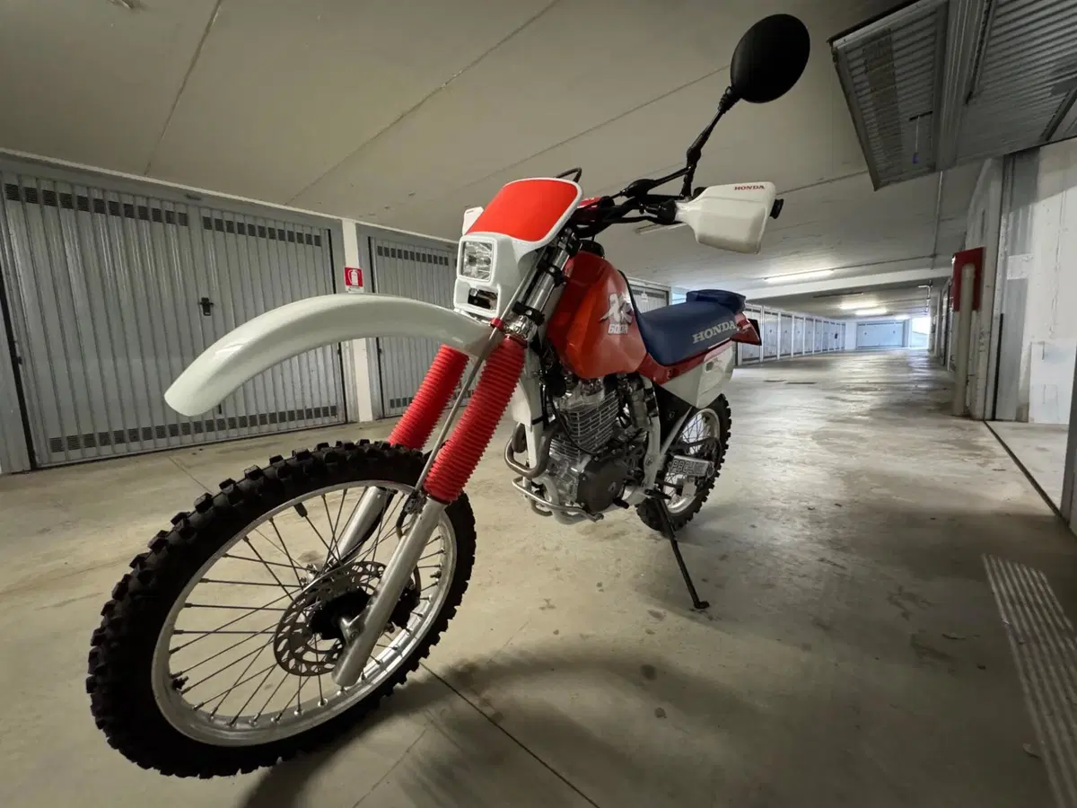 Honda XR600R dallara (4)