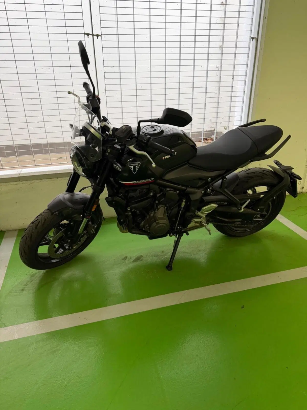 Triumph Trident 660 (2025) (3)