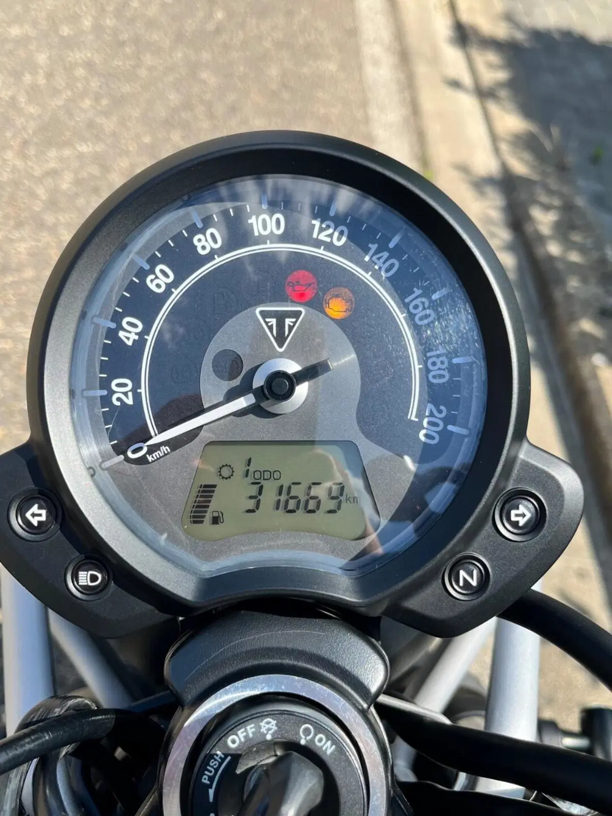 Triumph Street Scrambler 900 (2017 - 18) (9)