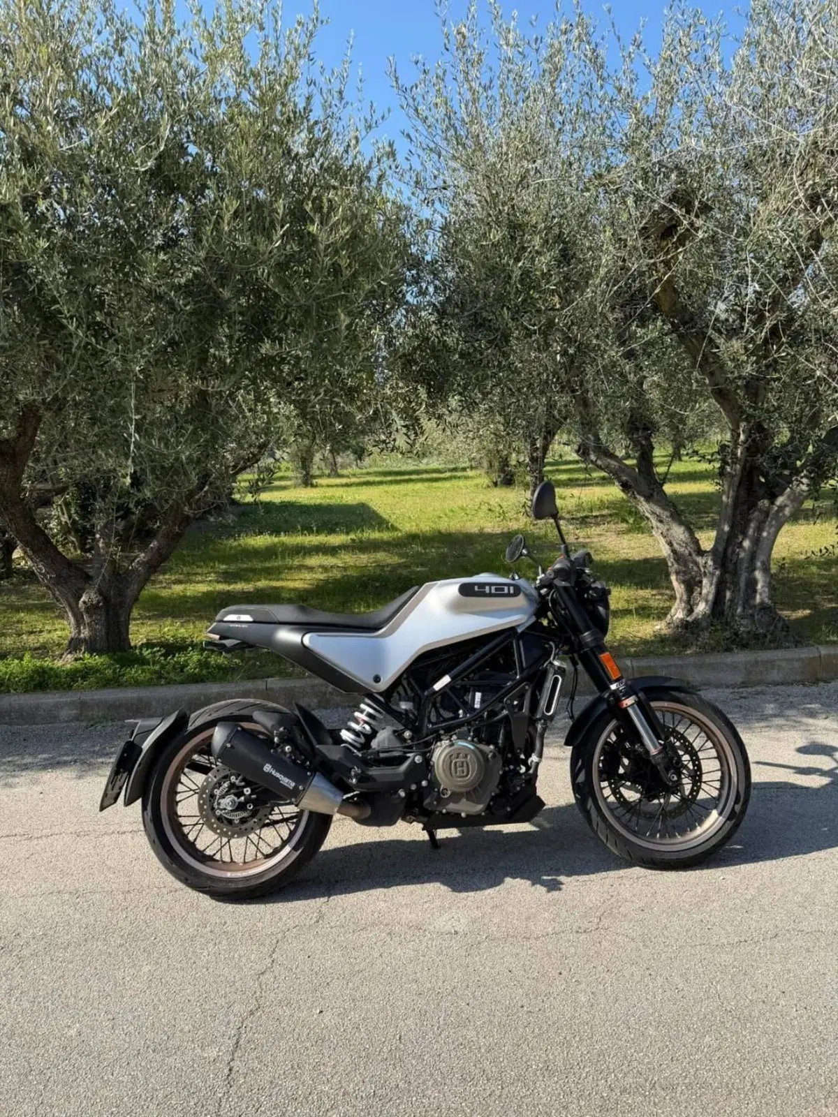 Husqvarna Vitpilen 401 (2020)