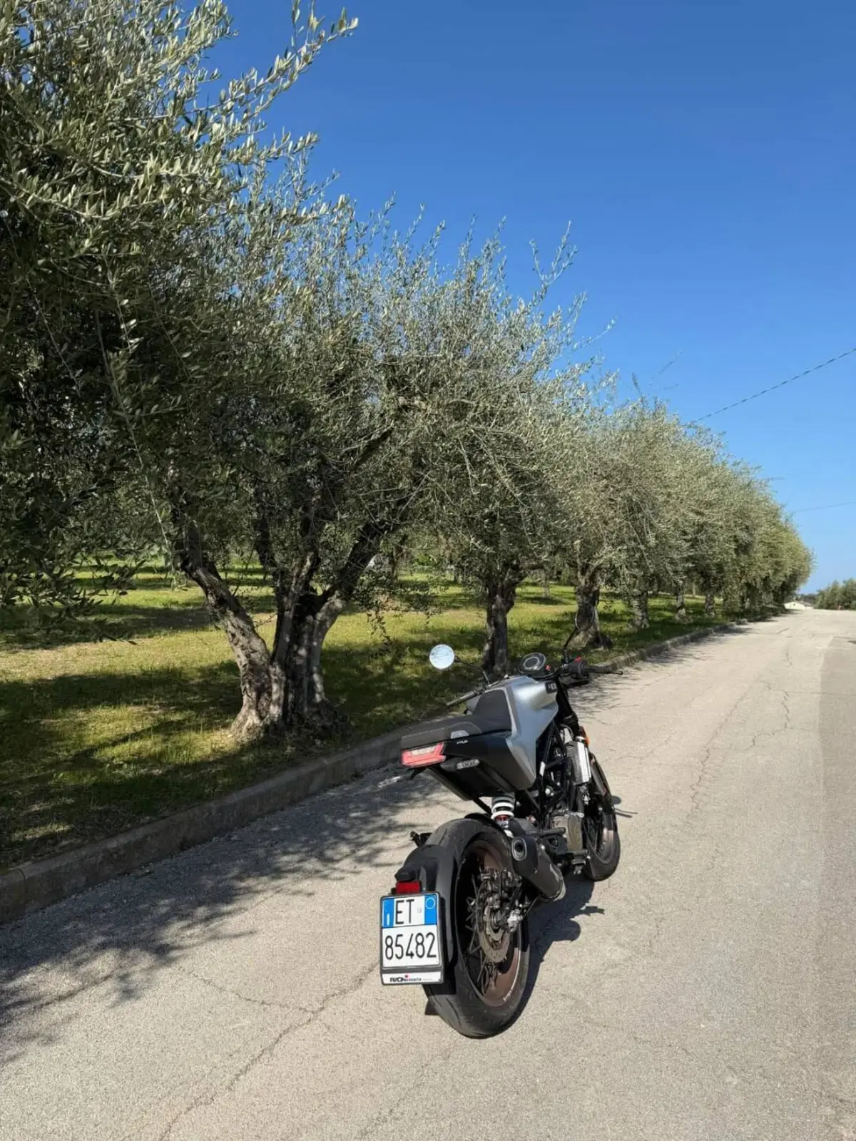 Husqvarna Vitpilen 401 (2020) (5)