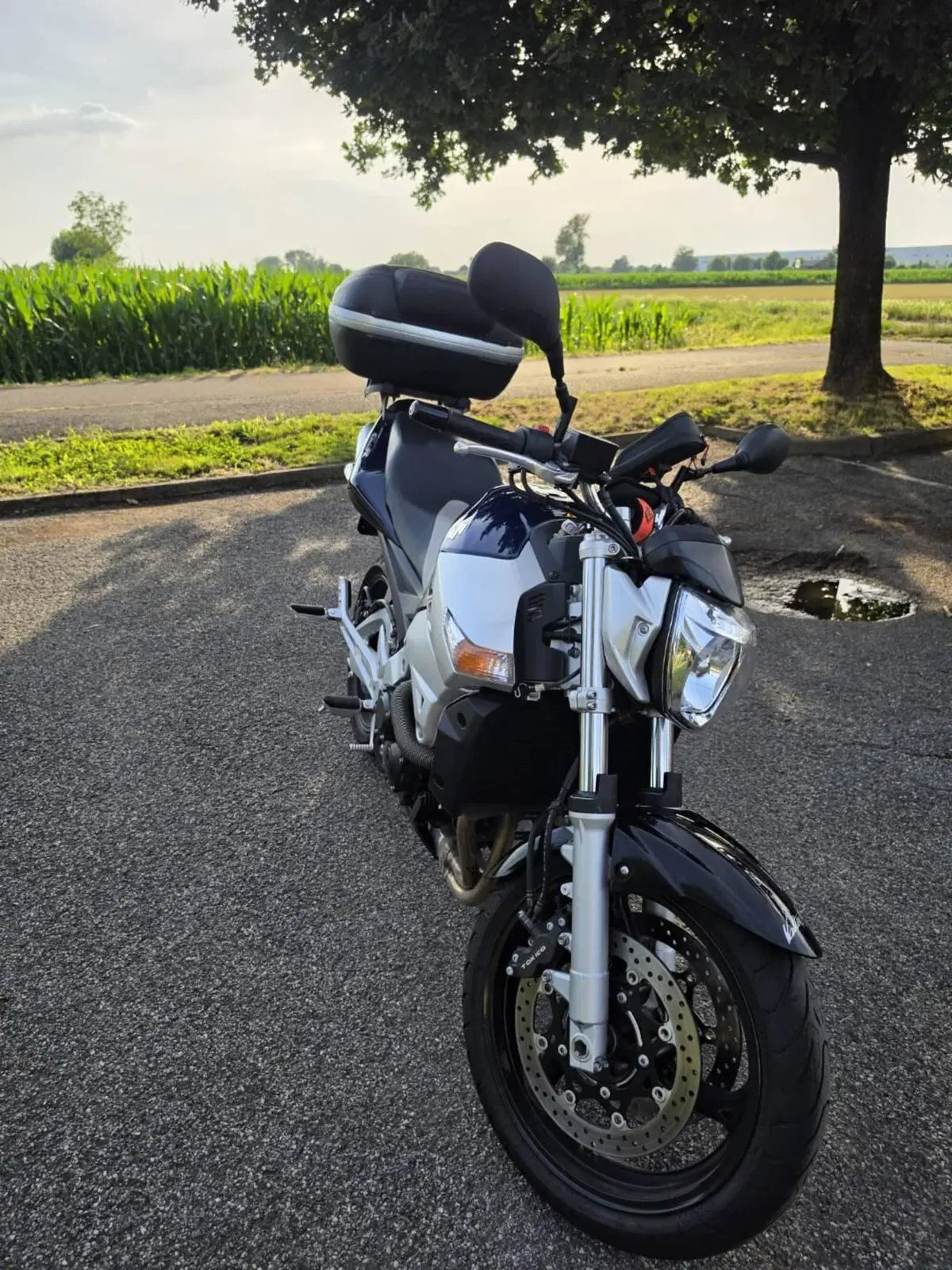Suzuki GSR 600 (2006 - 11) (6)