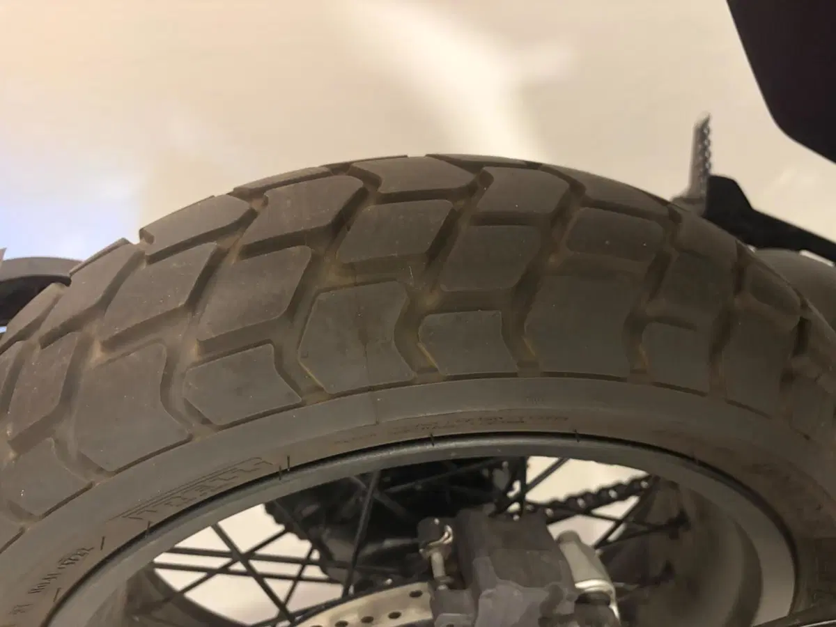 Ducati Scrambler 800 Nightshift (2023 - 24) (6)