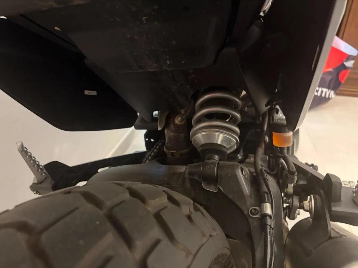 Ducati Scrambler 800 Nightshift (2023 - 24) (8)