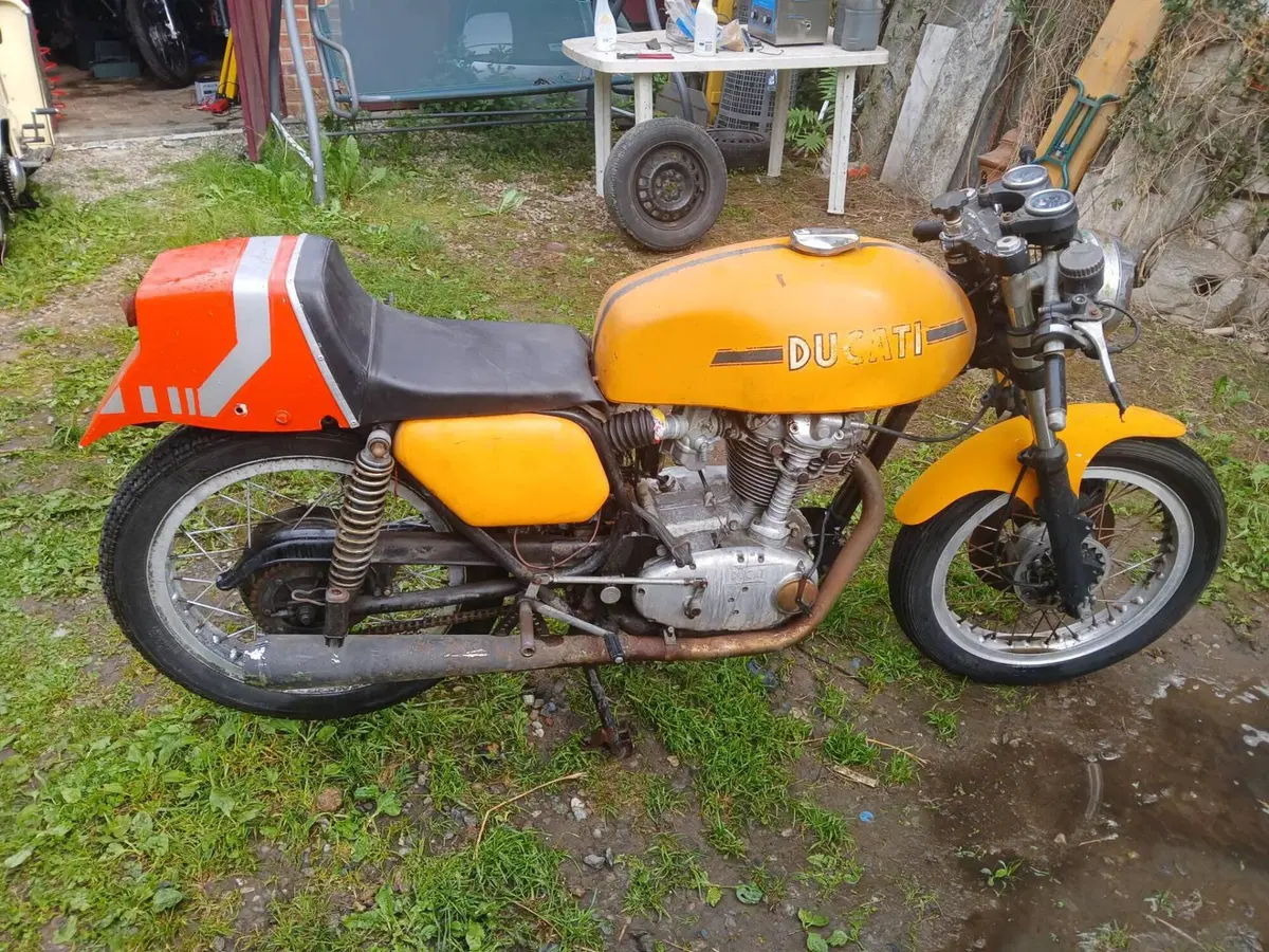 Ducati 350 desmo 