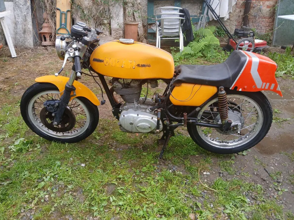 Ducati 350 desmo  (3)