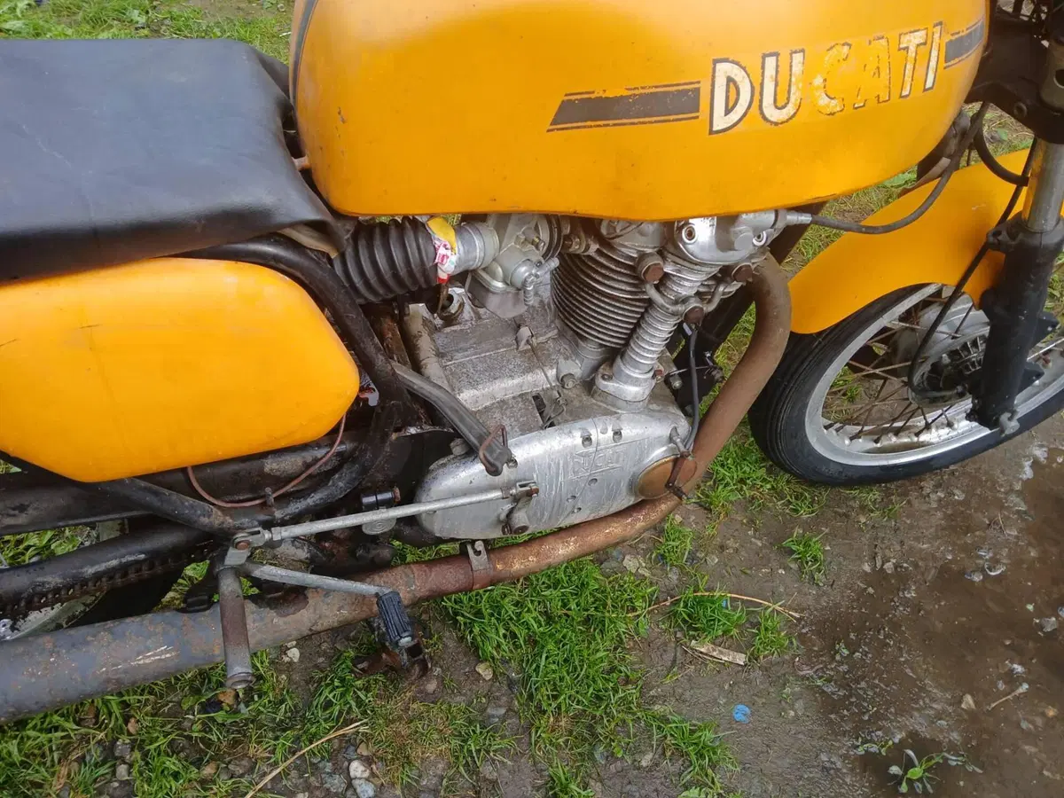 Ducati 350 desmo  (4)