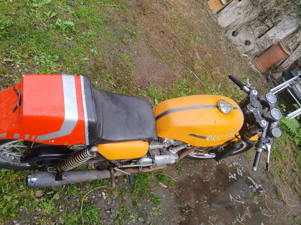 Ducati 350 desmo  (5)