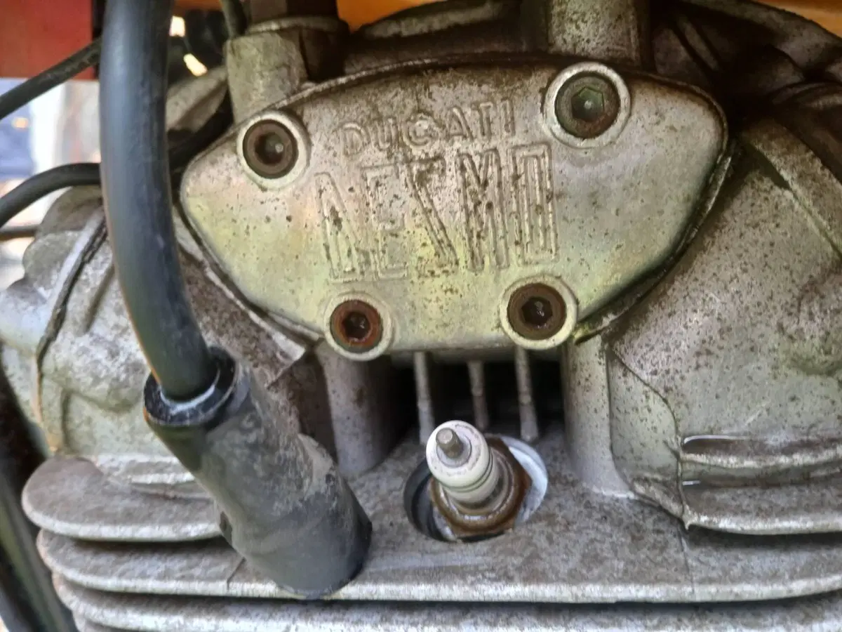 Ducati 350 desmo  (6)