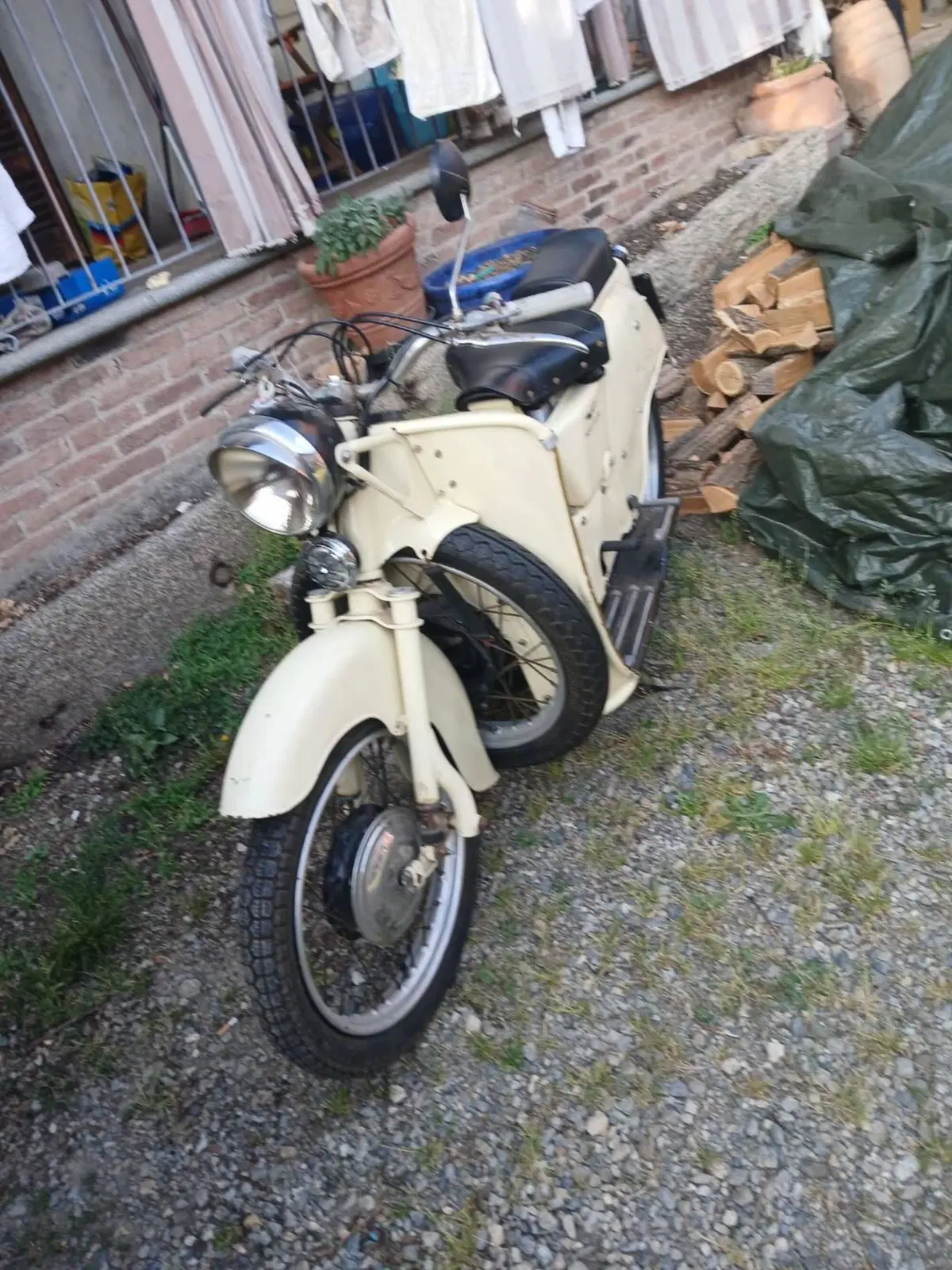 Moto Guzzi Galletto 192 (4)