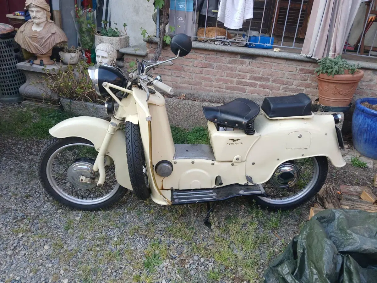 Moto Guzzi Galletto 192 (5)