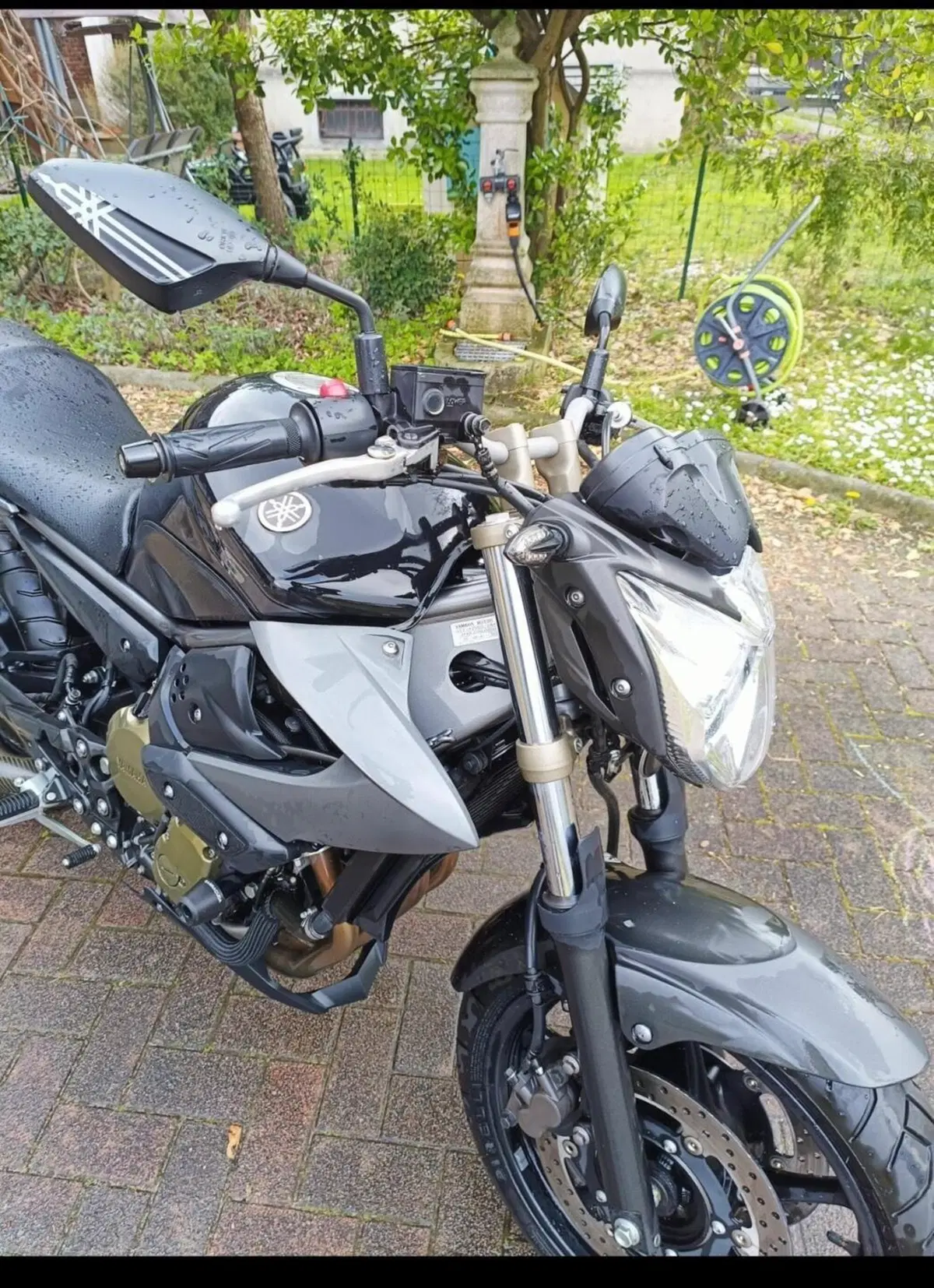 Yamaha XJ6 (2008 - 15) (2)