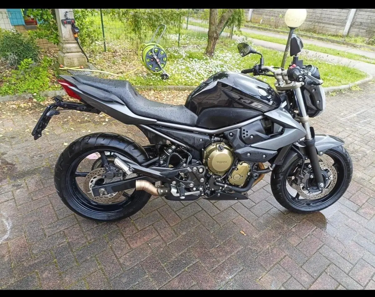 Yamaha XJ6 (2008 - 15) (3)