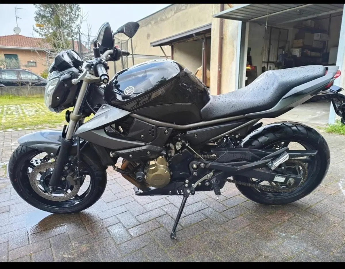 Yamaha XJ6 (2008 - 15) (4)