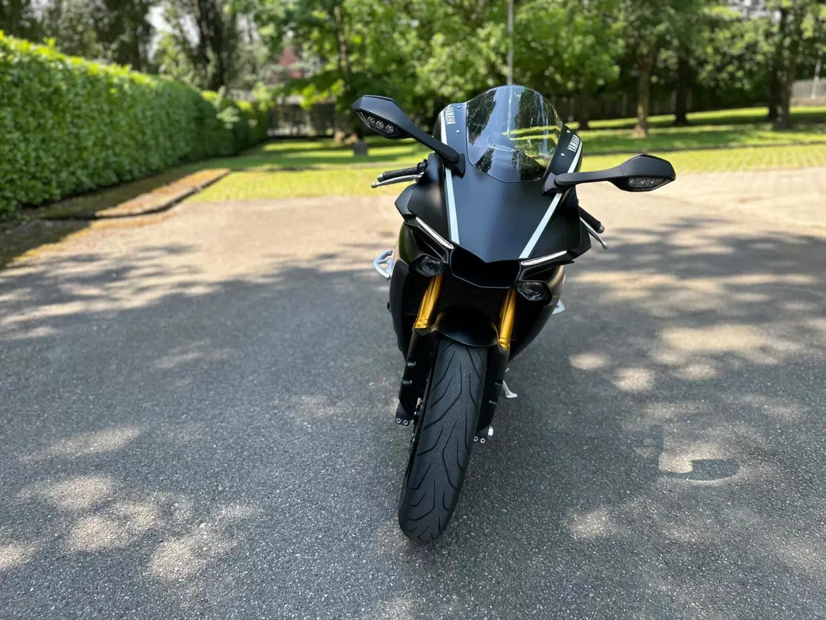 Yamaha YZF R1 (2017 - 19) (2)