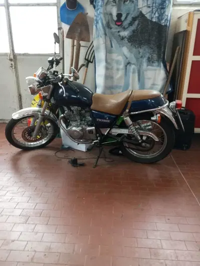 Suzuki TU 250 X (1997 - 03) usata