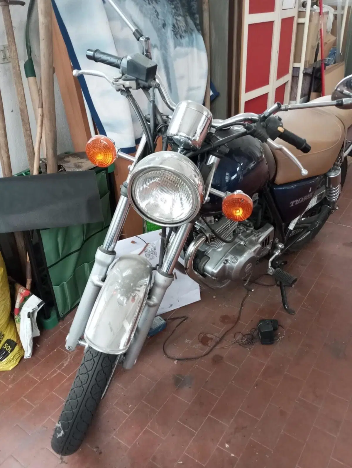 Suzuki TU 250 X (1997 - 03) (2)