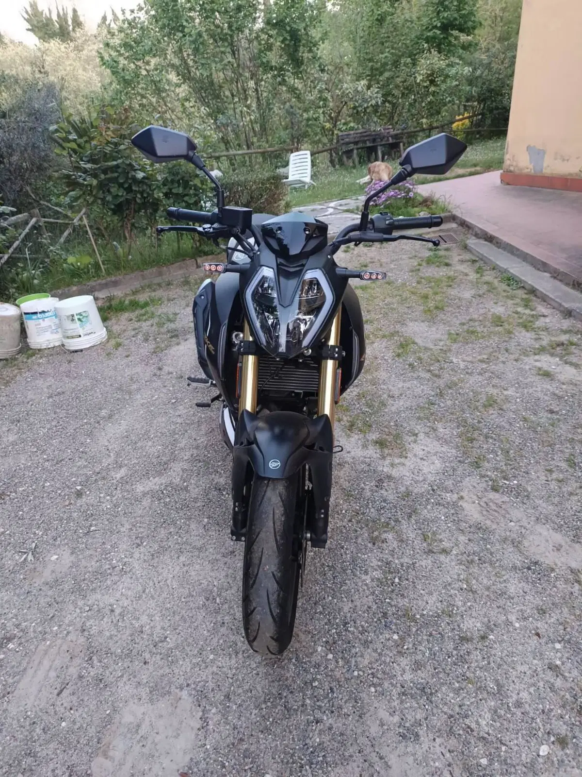Keeway Motor RKF 125 (2021 - 24) (8)