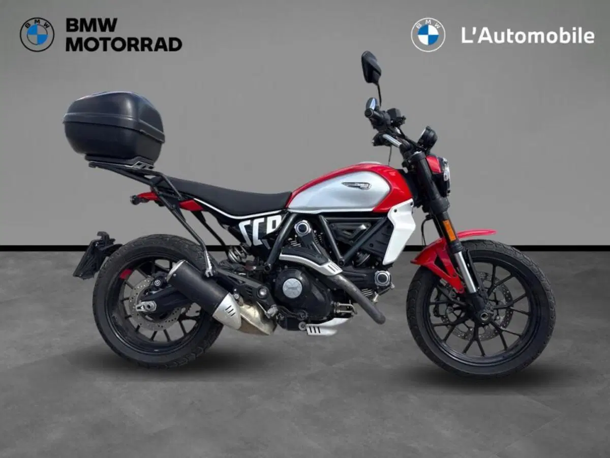 Ducati Scrambler 800 Icon (2023 - 24)