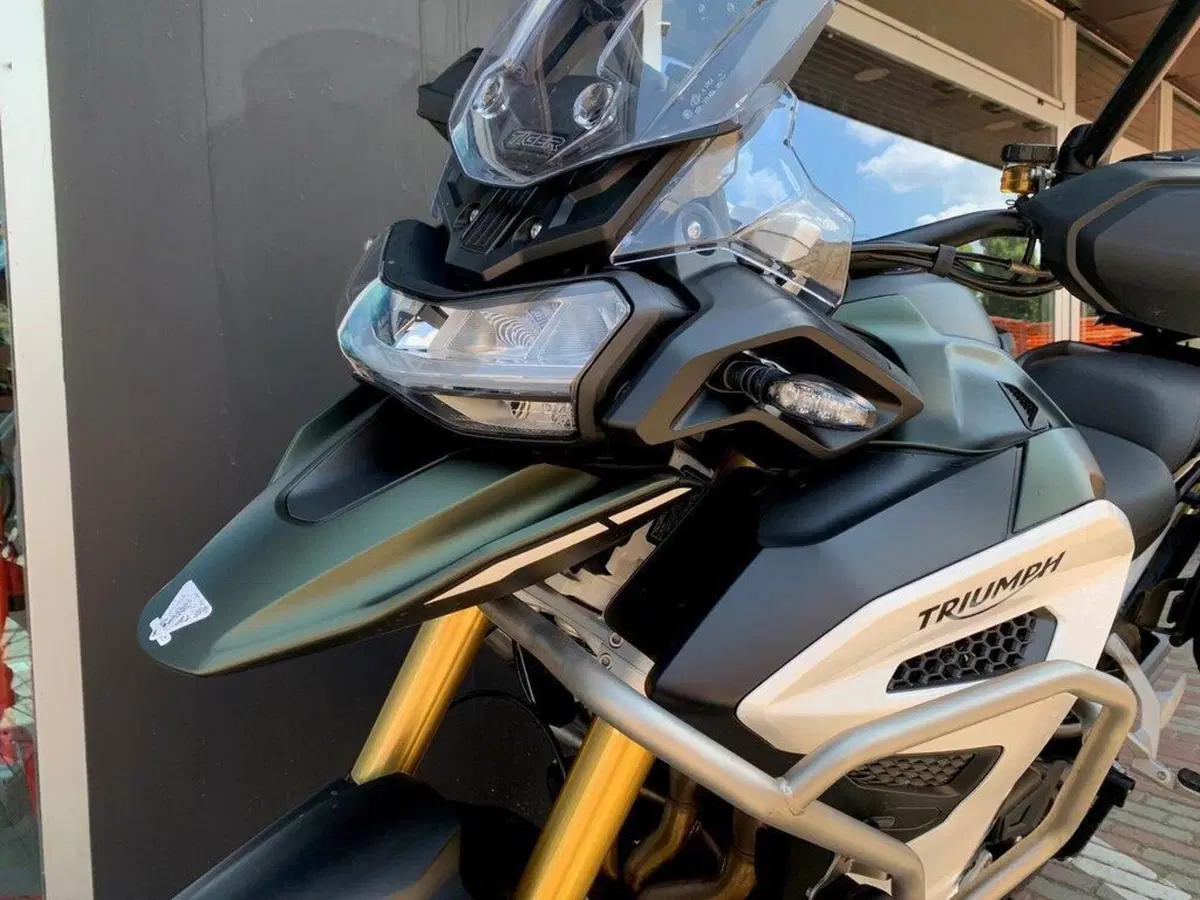 Triumph Tiger 1200 Rally Explorer (2024 - 26) (4)