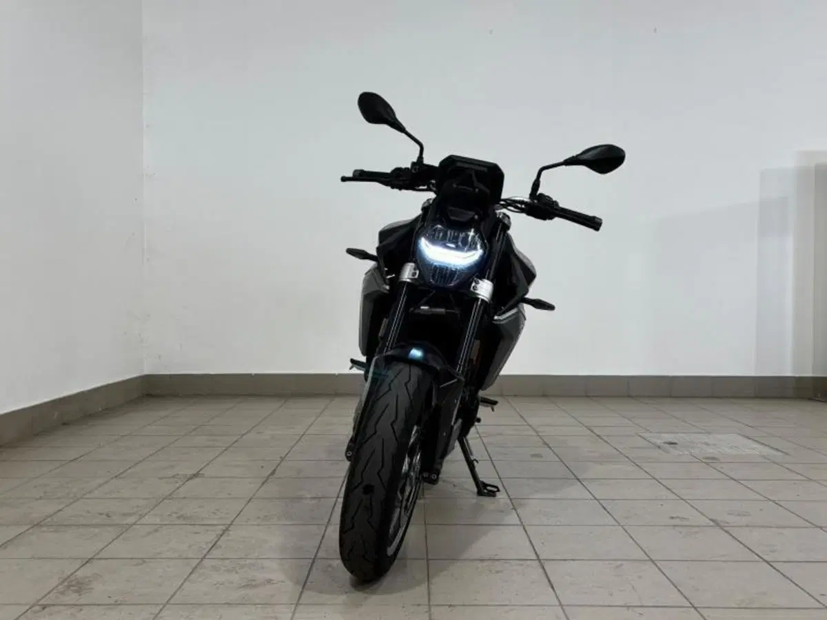 Bmw F 900 R (2017 - 20) (5)