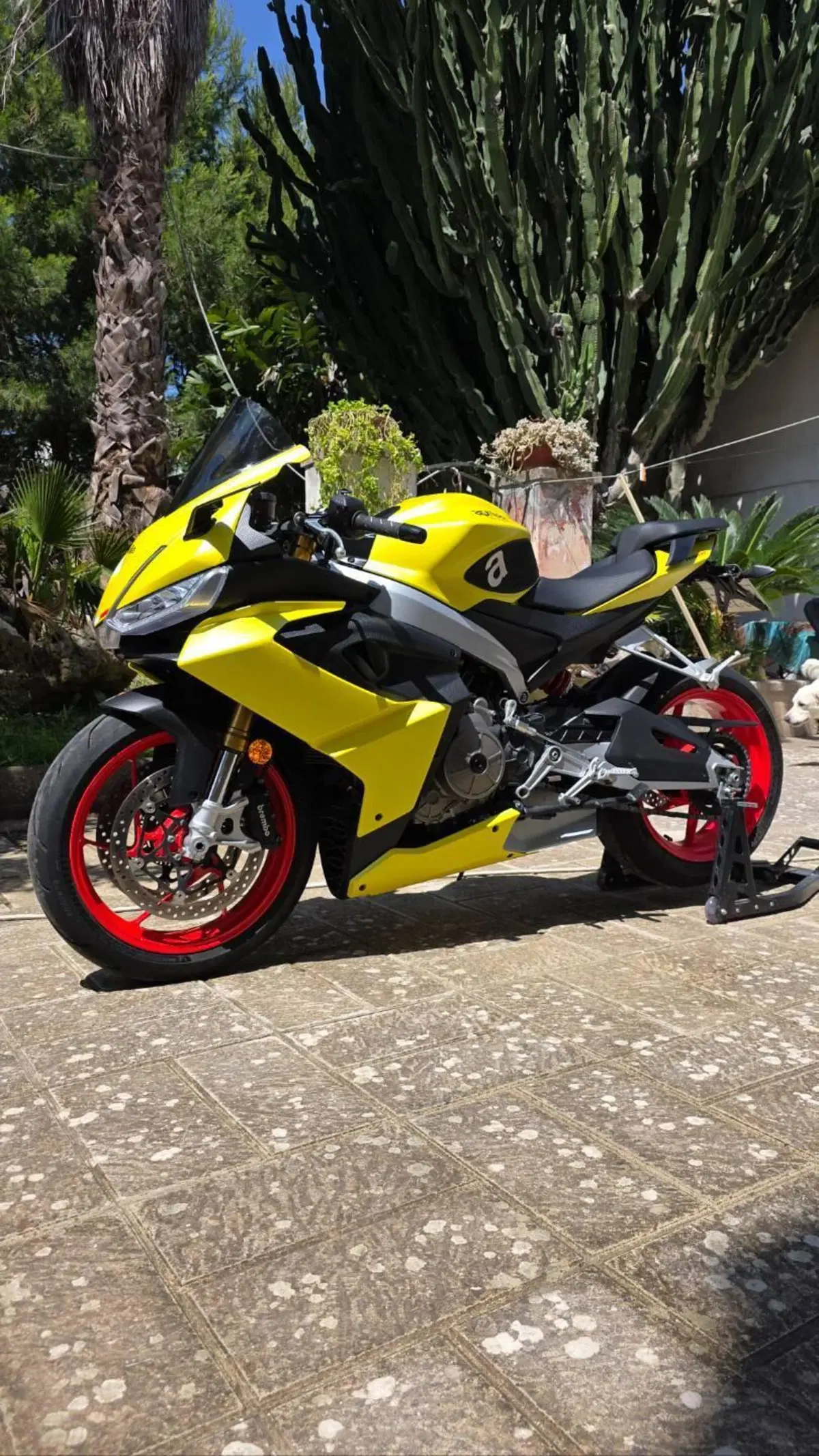 Aprilia RS 660 (2020 - 24)