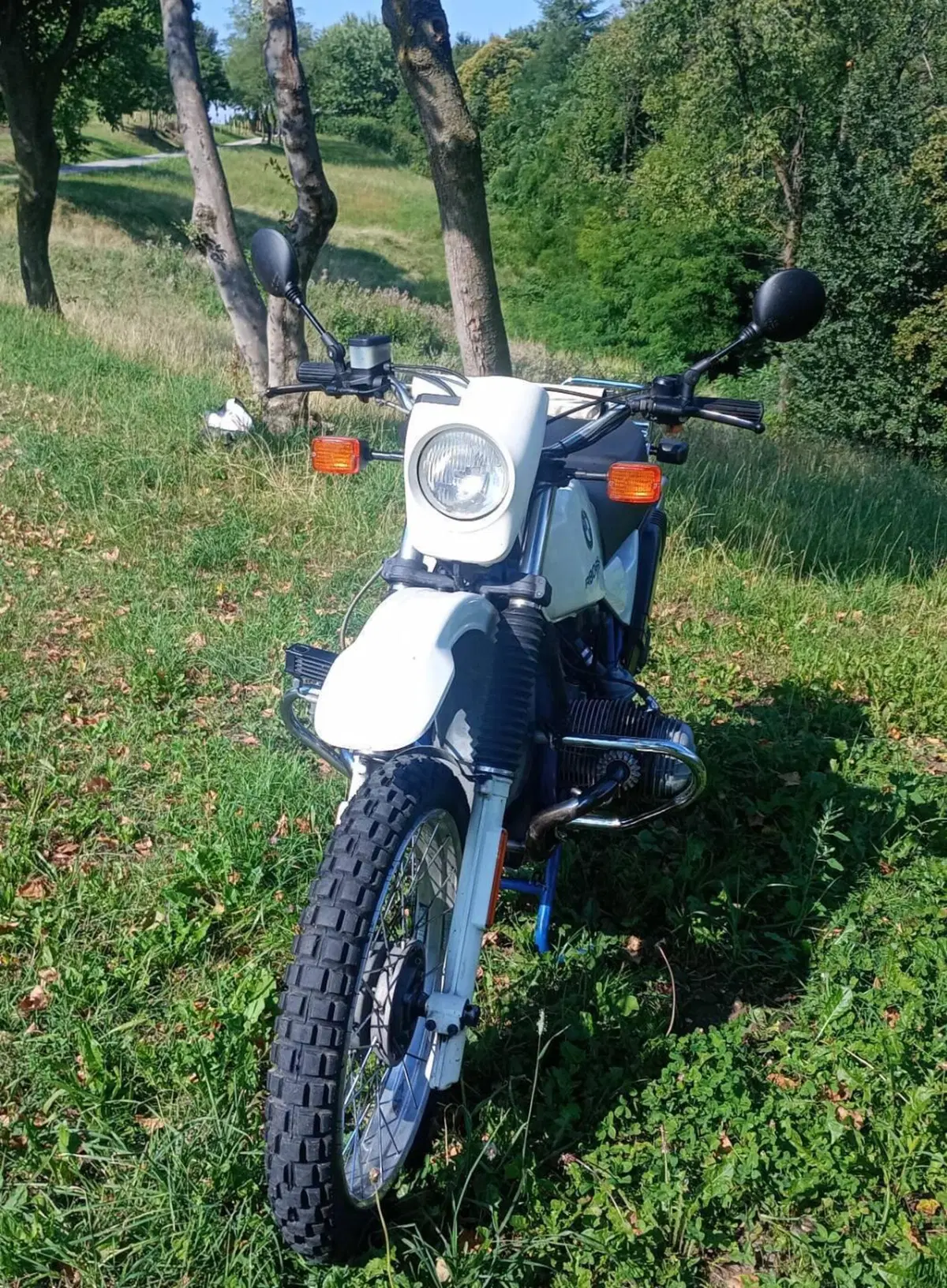 Bmw R 80 GS Basic (3)