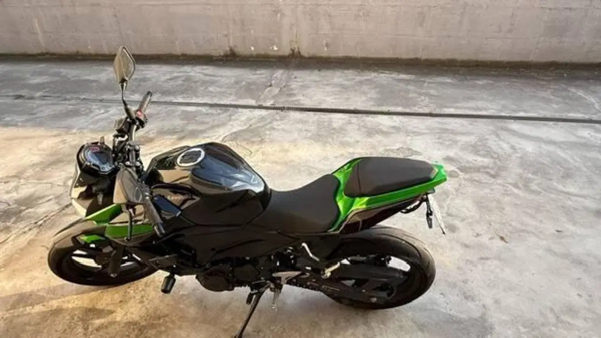 Kawasaki Z 400 Performance (2020) (2)