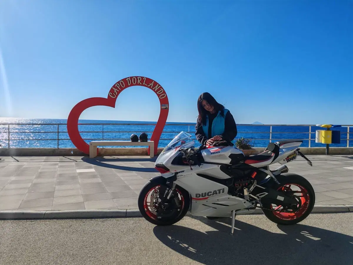 Ducati 959 Panigale (2016 - 19) (3)