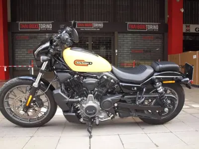 Harley-Davidson Nightster Special (2023 - 26) usata