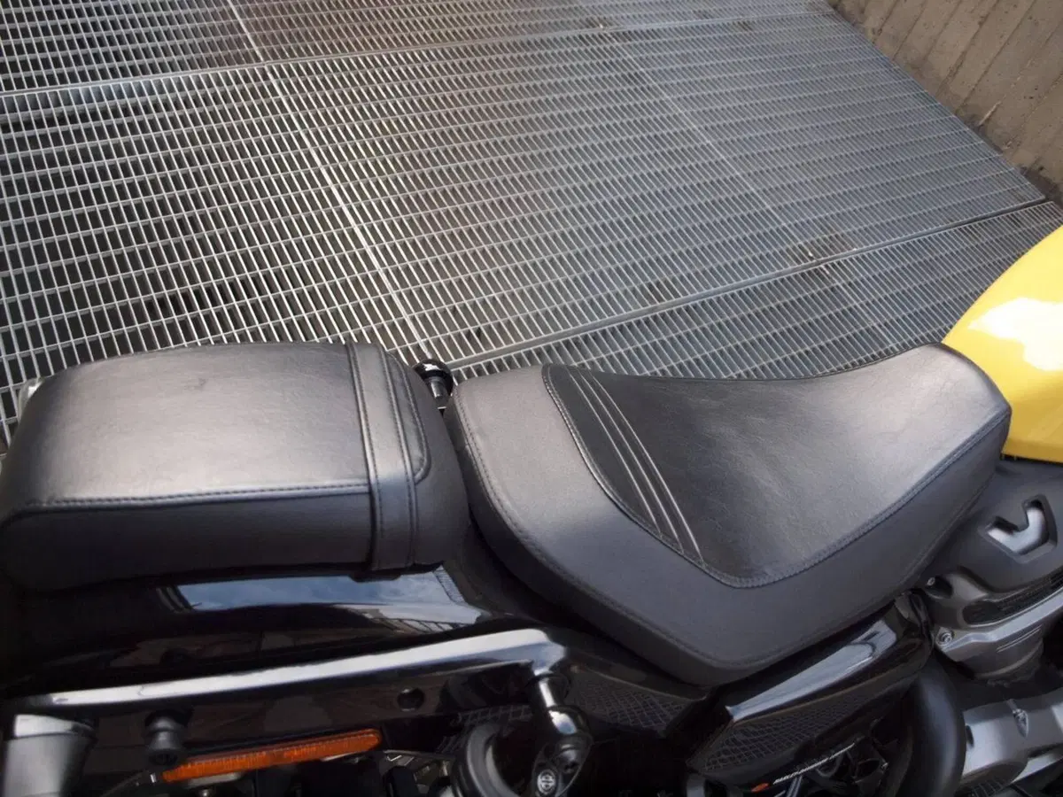 Harley-Davidson Nightster Special (2023 - 26) (6)