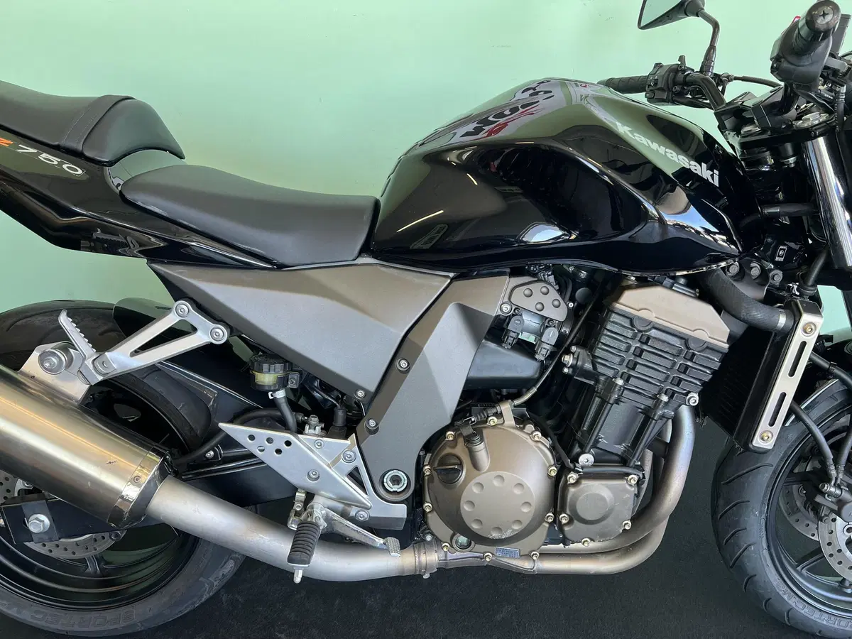 Kawasaki Z 750 (2003 - 06) (10)