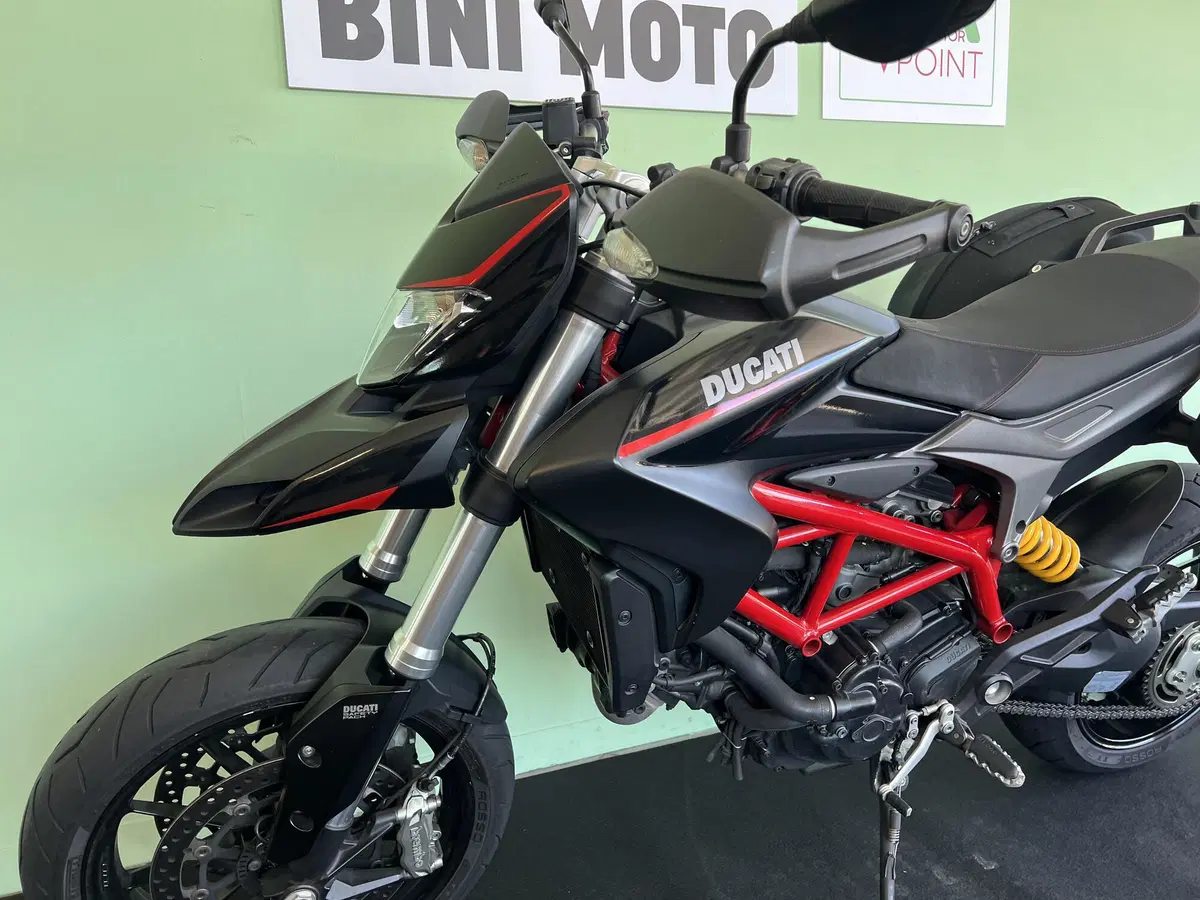 Ducati Hypermotard 821 (2013 - 15) (14)