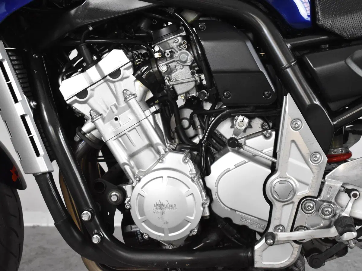 Yamaha FZ1 Fazer (2006 - 16) (16)