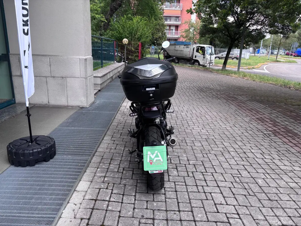 Benelli Leoncino 500 Trail (2021 - 26) (4)