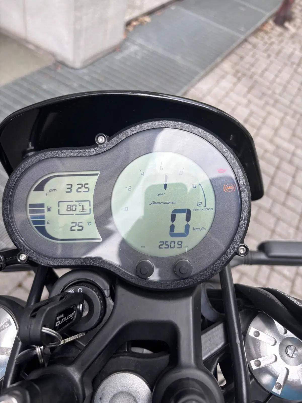 Benelli Leoncino 500 Trail (2021 - 26) (5)