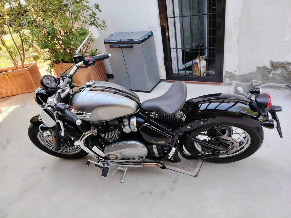 Triumph Bonneville Speedmaster 1200 Triumph-Speedmaster Gold Line (2022) (2)