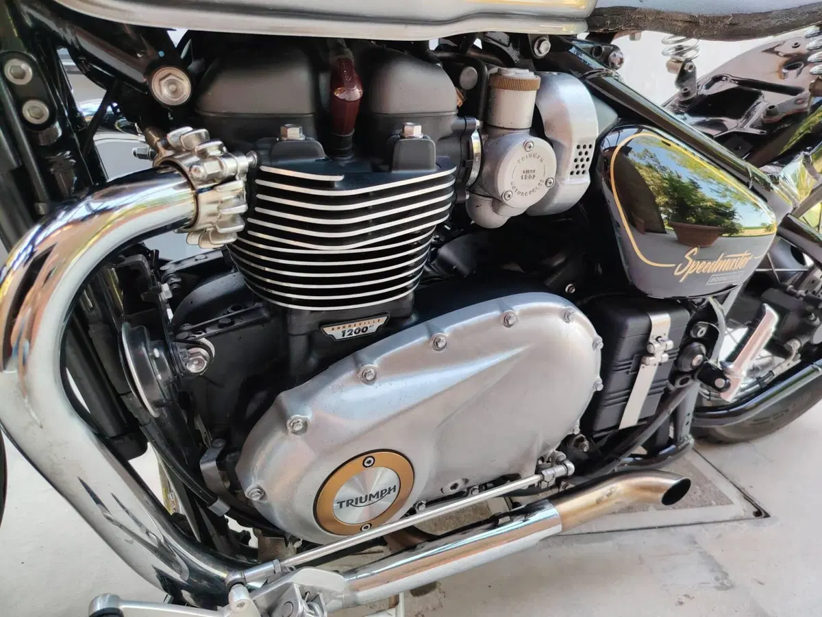 Triumph Bonneville Speedmaster 1200 Triumph-Speedmaster Gold Line (2022) (3)
