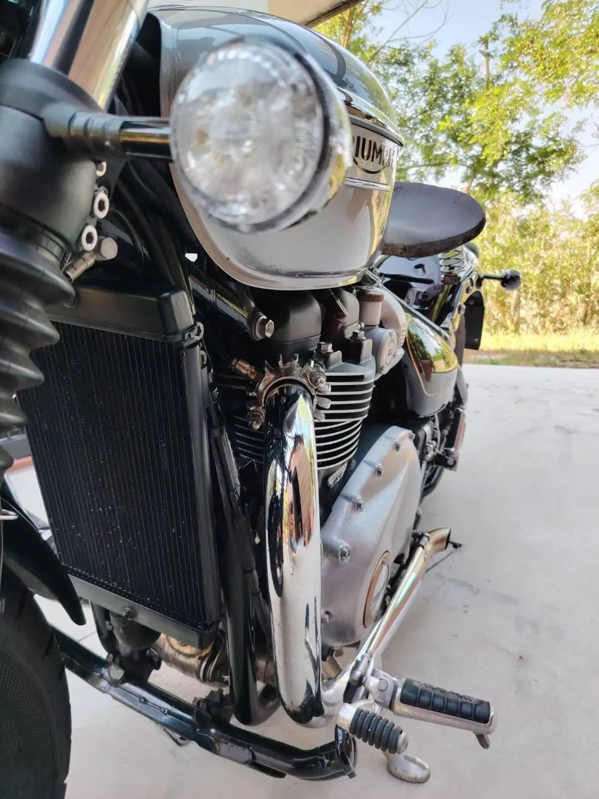 Triumph Bonneville Speedmaster 1200 Triumph-Speedmaster Gold Line (2022) (4)
