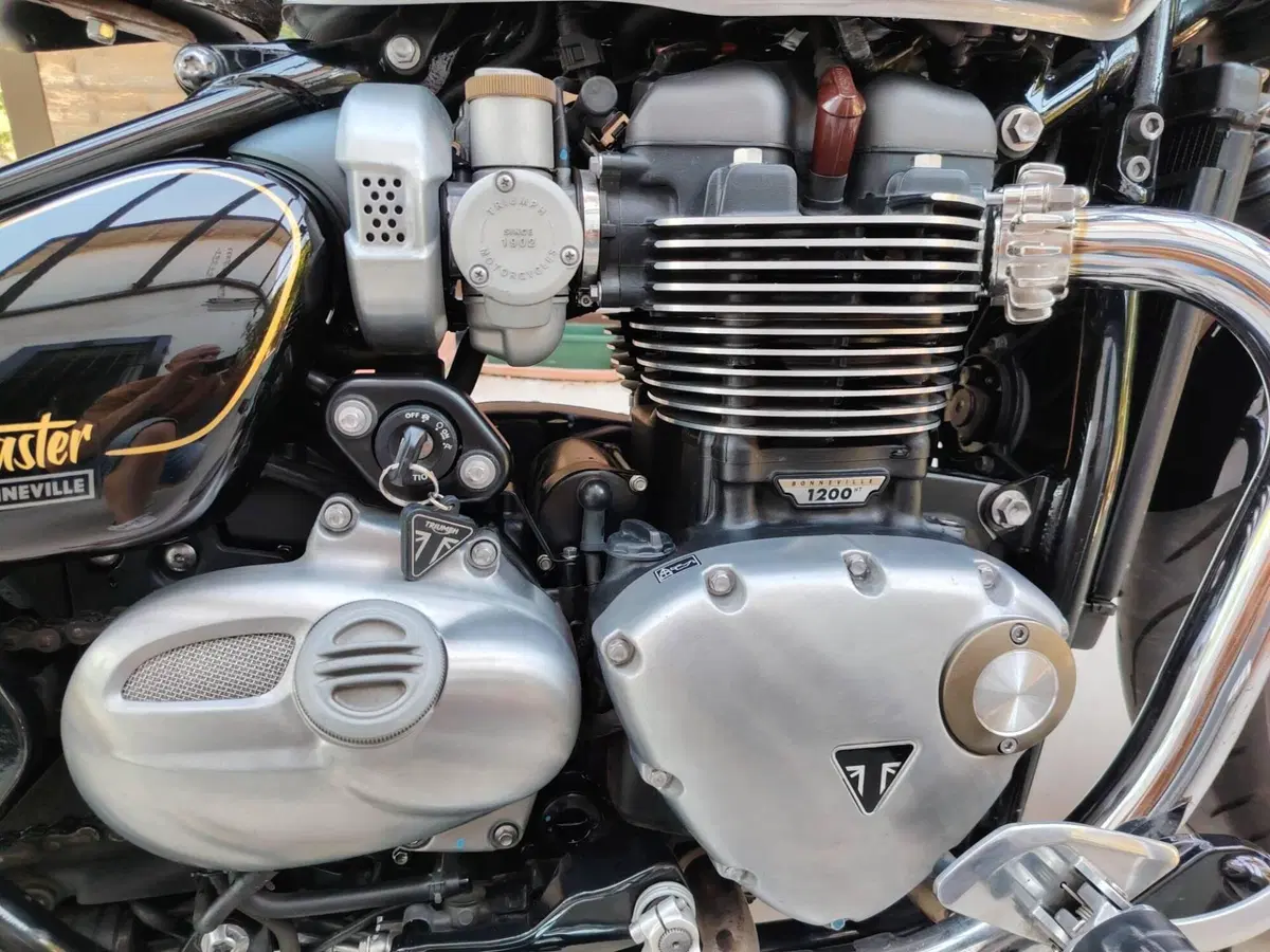 Triumph Bonneville Speedmaster 1200 Triumph-Speedmaster Gold Line (2022) (6)