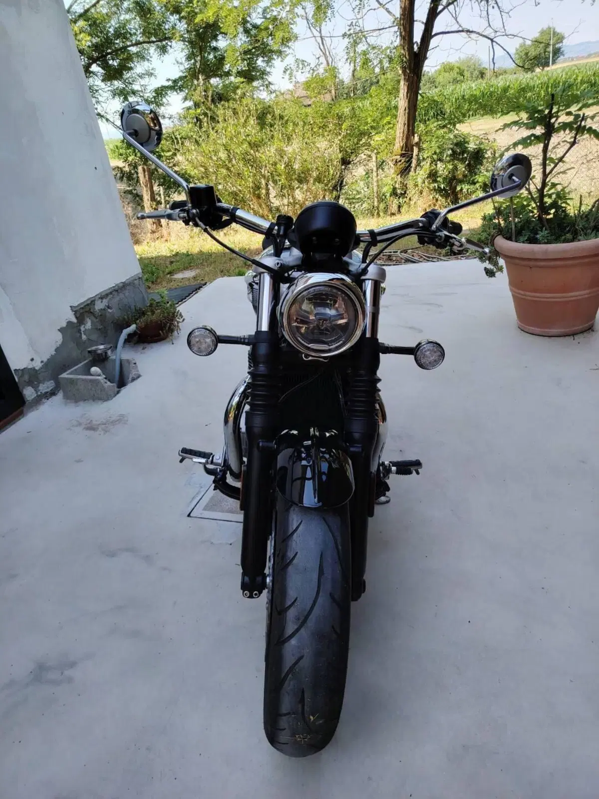 Triumph Bonneville Speedmaster 1200 Triumph-Speedmaster Gold Line (2022) (10)