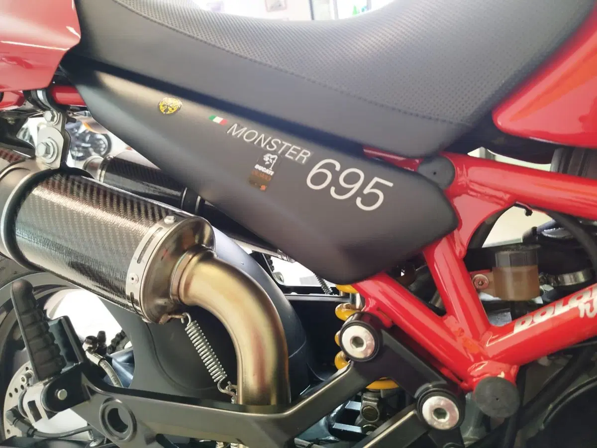 Ducati Monster 695 (2006 - 08) (9)