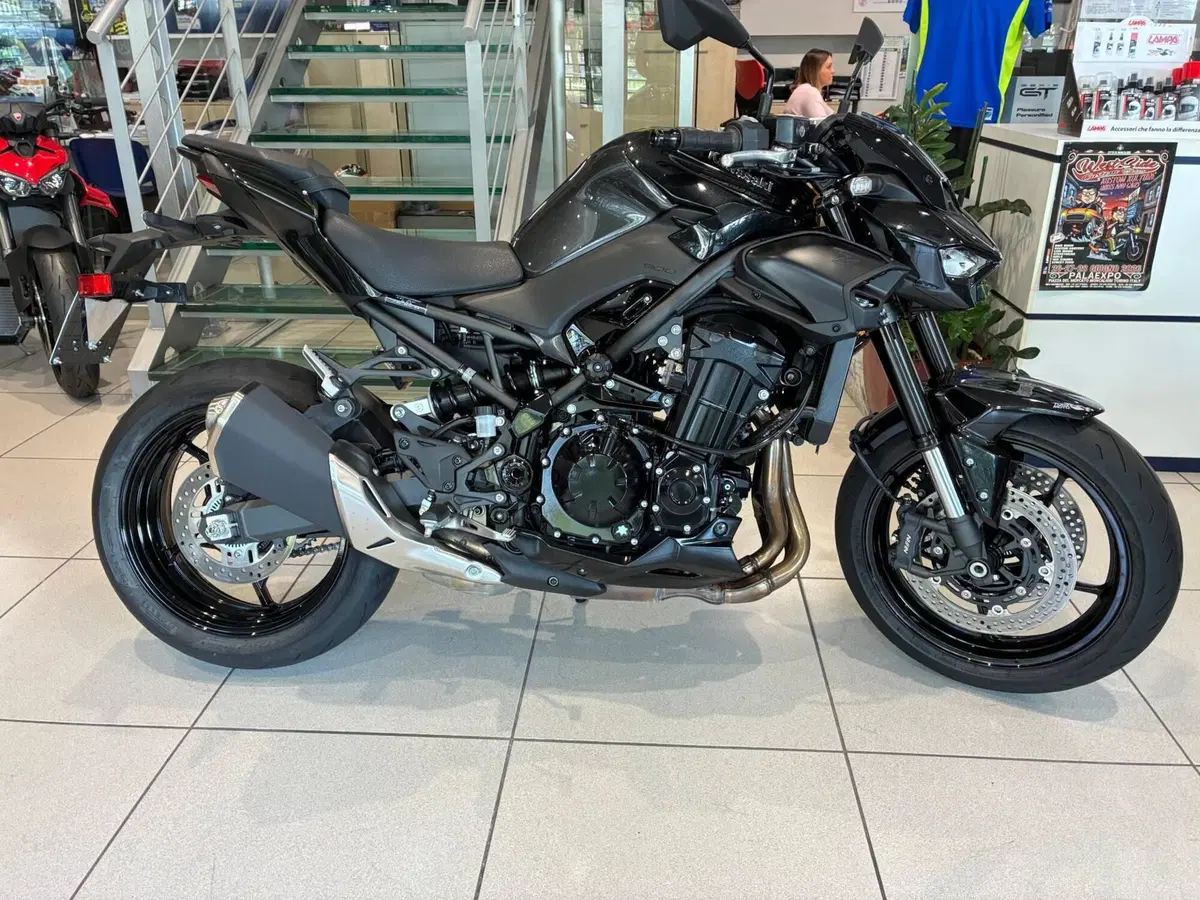 Kawasaki Z 900 Performance (2025 - 26)