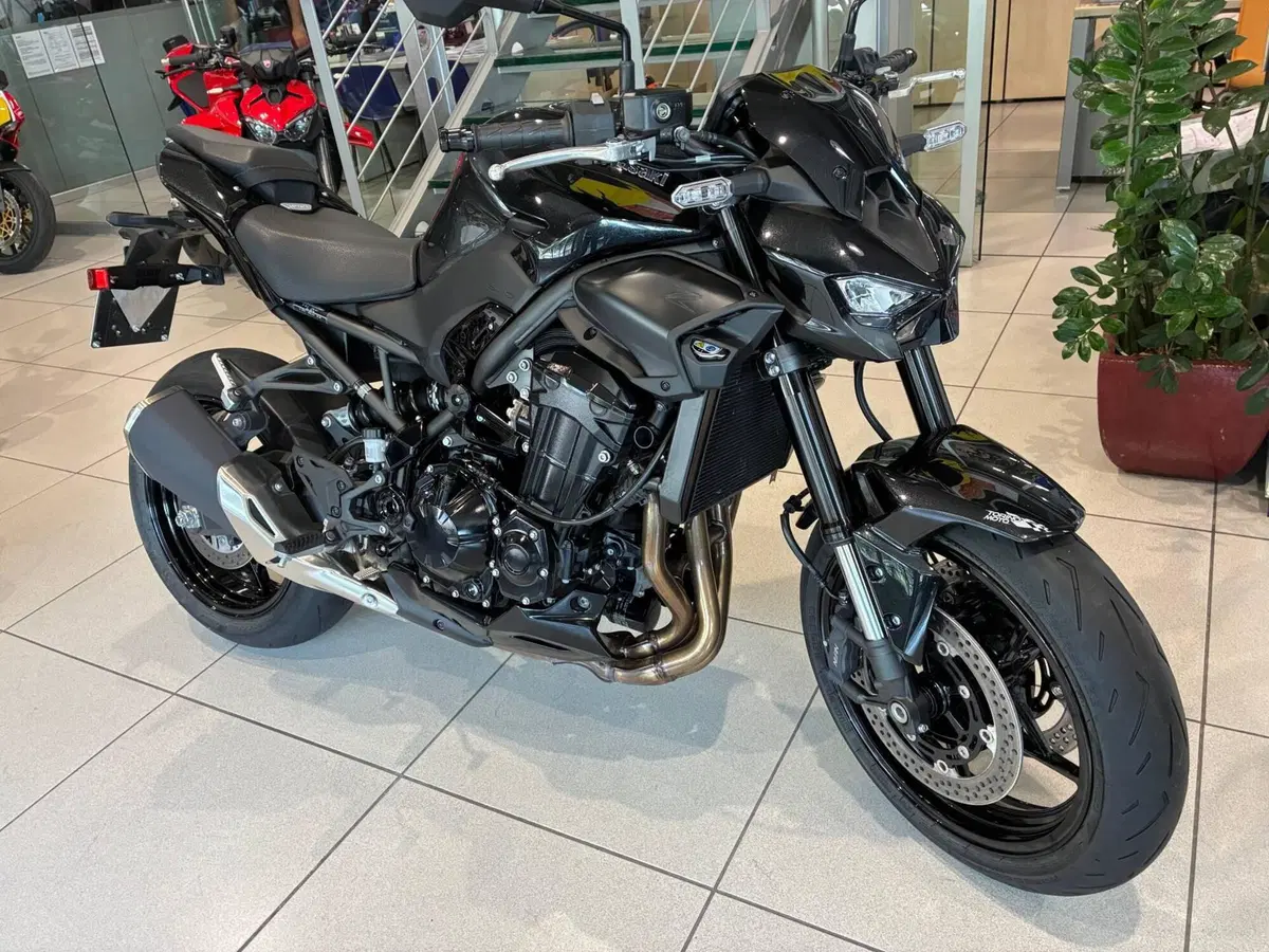 Kawasaki Z 900 Performance (2025 - 26) (2)