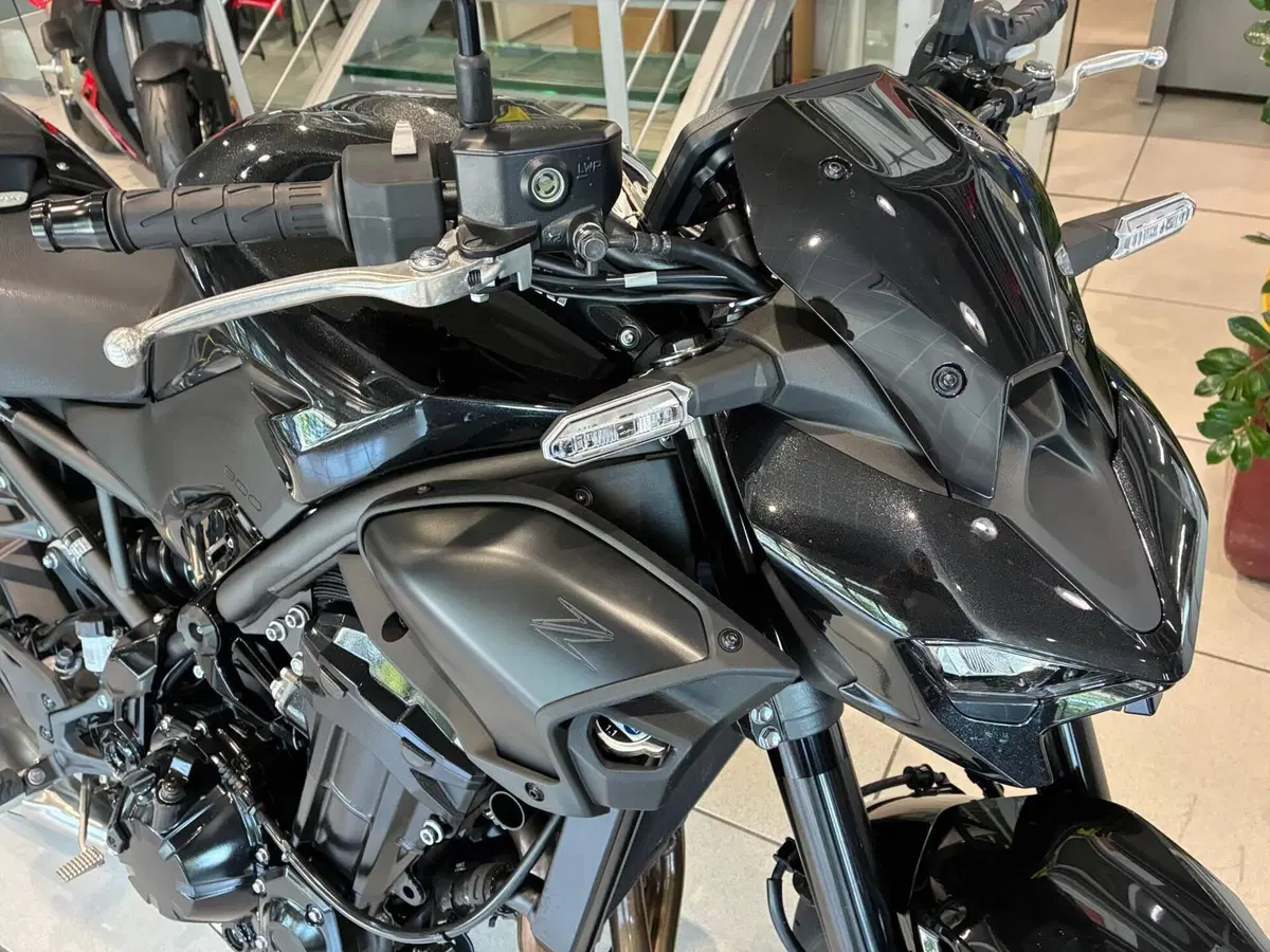 Kawasaki Z 900 Performance (2025 - 26) (3)