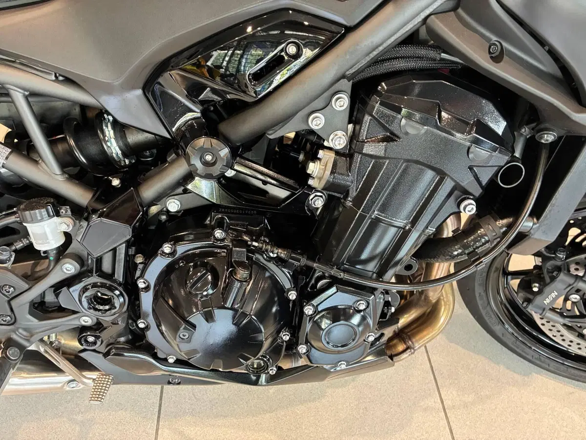 Kawasaki Z 900 Performance (2025 - 26) (4)
