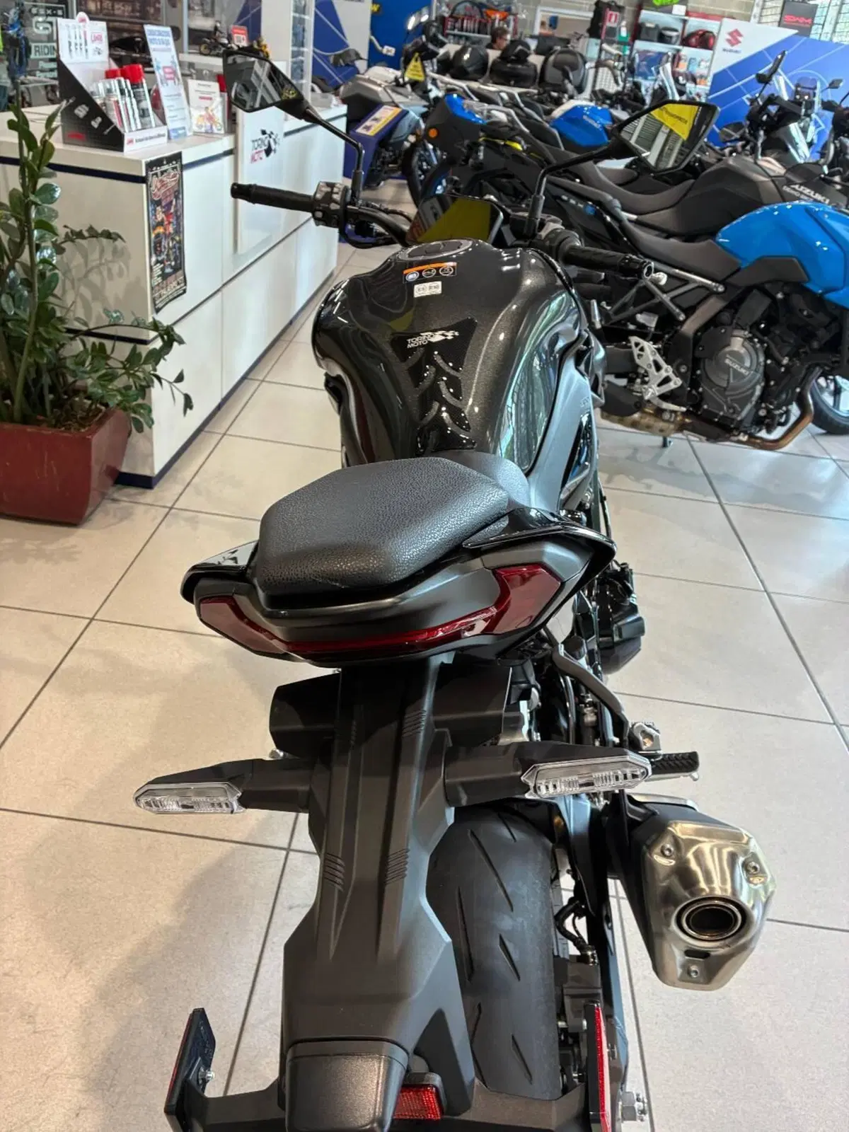 Kawasaki Z 900 Performance (2025 - 26) (7)